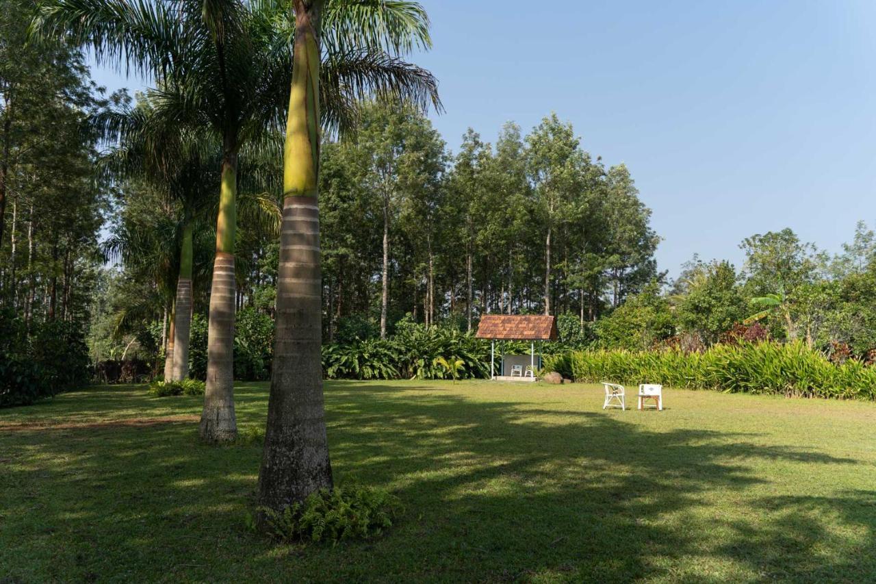 Stayvista At Cedar - Strelitzia 2Bhk With Breakfast And Jacuzzi Chikmagalūr Zewnętrze zdjęcie